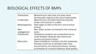 BONE MORPHOGENIC PROTEINS periodontics.pptx