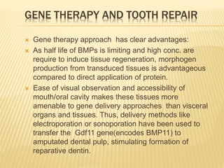 GENE THERAPY AND TOOTH REPAIR
 Gene therapy approach has clear advantages:
 As half life of BMPs is limiting and high conc. are
require to induce tissue regeneration, morphogen
production from transduced tissues is advantageous
compared to direct application of protein.
 Ease of visual observation and accessibility of
mouth/oral cavity makes these tissues more
amenable to gene delivery approaches than visceral
organs and tissues. Thus, delivery methods like
electroporation or sonoporation have been used to
transfer the Gdf11 gene(encodes BMP11) to
amputated dental pulp, stimulating formation of
reparative dentin.
 
