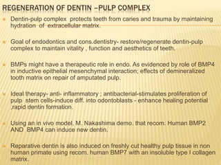 REGENERATION OF DENTIN –PULP COMPLEX
 Dentin-pulp complex protects teeth from caries and trauma by maintaining
hydration of extracellular matrix.
 Goal of endodontics and cons.dentistry- restore/regenerate dentin-pulp
complex to maintain vitality , function and aesthetics of teeth.
 BMPs might have a therapeutic role in endo. As evidenced by role of BMP4
in inductive epithelial mesenchymal interaction; effects of demineralized
tooth matrix on repair of amputated pulp.
 Ideal therapy- anti- inflammatory ; antibacterial-stimulates proliferation of
pulp stem cells-induce diff. into odontoblasts - enhance healing potential
,rapid dentin formation.
 Using an in vivo model, M. Nakashima demo. that recom. Human BMP2
AND BMP4 can induce new dentin.
 Reparative dentin is also induced on freshly cut healthy pulp tissue in non
human primate using recom. human BMP7 with an insoluble type I collagen
matrix.
 