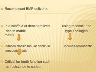  Recombinant BMP delivered
 In a scaffold of demineralized using reconstituted
dentin matrix type I collagen
matrix
 Induces classic tubular dentin in induces osteodentin
amputated pulp.
 Critical for tooth function such
as resistance to caries.
 