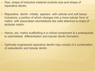  Size ,shape of inductive material controls size and shape of
reparative dentin.
 Reparative dentin initially appears with cellular and soft tissue
inclusions, a portion of which changes into a more tubular form of
matrix with associated odontoblasts like cells attached to mass of
atubular matrix .
 Hence, ext. matrix scaffolding is a critical component & a prerequisite
to odontoblast differentiation and tubular dentin formation.
 Optimally engineered reparative dentin may consist of a combination
of osteodentin and tubular dentin.
 