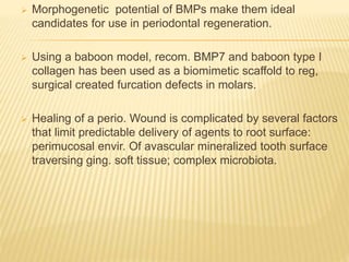 Morphogenetic potential of BMPs make them ideal
candidates for use in periodontal regeneration.
 Using a baboon model, recom. BMP7 and baboon type I
collagen has been used as a biomimetic scaffold to reg,
surgical created furcation defects in molars.
 Healing of a perio. Wound is complicated by several factors
that limit predictable delivery of agents to root surface:
perimucosal envir. Of avascular mineralized tooth surface
traversing ging. soft tissue; complex microbiota.
 