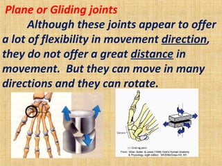  Plane or Gliding joints
 Although these joints appear to offer 
a lot of flexibility in movement direction, 
they do not offer a great distance in 
movement.  But they can move in many 
directions and they can rotate.
 