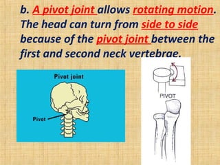 b. A pivot joint allows rotating motion.
The head can turn from side to side
because of the pivot joint between the
first and second neck vertebrae.
 