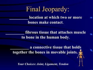 Bone Muscle Skin Jeopardy