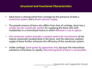 Structural and Functional Characteristics
• Adult bone is distinguished from cartilage by the presence of both a
canalicular system and a direct vascular supply.
• The growth process of bone also differs from that of cartilage, bone has a
unique lacunar-canalicular system for supplying the bone cells with
metabolites in a mineralized matrix in which diffusion is not an option.
• The canalicular system provides a conduit system for nourishment of the
mature osteocytes located deep in the bone, and the extensive capillary
supply of bone further enhances the efficiency of the canalicular system.
• Unlike cartilage, bone grows by apposition only, because the intercellular
substance mineralizes so rapidly. Interstitial growth of bone is not possible.
Connective and supportive tissuesConnective and supportive tissue -
Bone
 