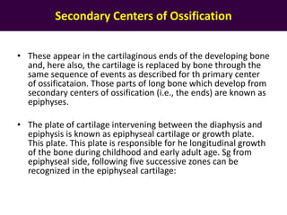 Secondary Centers of Ossification
• These appear in the cartilaginous ends of the developing bone
and, here also, the cartilage is replaced by bone through the
same sequence of events as described for th primary center
of ossificataion. Those parts of long bone which develop from
secondary centers of ossification (i.e., the ends) are known as
epiphyses.
• The plate of cartilage intervening between the diaphysis and
epiphysis is known as epiphyseal cartilage or growth plate.
This plate. This plate is responsible for he longitudinal growth
of the bone during childhood and early adult age. Sg from
epiphyseal side, following five successive zones can be
recognized in the epiphyseal cartilage:
 