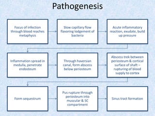 Pathogenesis
Focus of infection
through blood reaches
metaphysis
Slow capillary flow
flavoring lodgement of
bacteria
Acute inflammatory
reaction, exudate, build
up pressure
Inflammation spread in
medulla, penetrate
endosteum
Through haversian
canal, form abscess
below periosteum
Abscess trek between
periosteum & cortical
surface of shaft –
rupturing of blood
supply to cortex
Form sequestrum
Pus rupture through
periosteum into
muscular & SC
compartment
Sinus tract formation
 