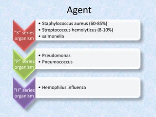 “S” series
organism
• Staphylococcus aureus (60-85%)
• Streptococcus hemolyticus (8-10%)
• salmonella
“P” series
organism
• Pseudomonas
• Pneumococcus
“H” series
organism
• Hemophilus influenza
Agent
 