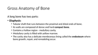 Comprehensive Overview of Bone and Soft Tissue Tumours: Diagnosis and ...