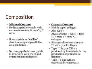 Composition
• Mineral Content
• Hydroxyapatite crystals with
carbonate content & low Ca/P
ratio.
• Bone crystals as ‘leaf like’
structures aligned parallel to
collagen fibres.
• Narrow gaps between crystals
is associated with water and
organic macromolecules.
• Organic Content
• Mainly type I collagen
• Also type V
• Alveolar bone = type I + type
III + type V + type XII
collagen
• Sharpeys fibres contain type
III with type I collagen
• Type III & type XII are
produced by fibroblasts during
production of periodontal
ligament.
• Type I, V and XII are
expressed by osteoclasts.
 