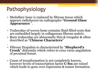 Pathophysiology
• Medullary bone is replaced by fibrous tissue which
appears radiolucent on radiographs-”Ground Glass
Appearance ”.
• Trabeculae of woven bone contains fluid filled cysts that
are embedded largely in collagenous fibrous matrix.
• Bony trabeculae are abnormally thin & irregular & often
described as “Chinese Characters”
.
• Fibrous Dyspalsia is characterised by “Shepherd’s
Crook” deformity which refers to coxa varus angulation
of proximal femur.
• Cause of transformation is not completely known,
however levels of transcription factor C-fos are raised
which leads to gene over expression & tumor formation.
 