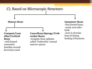 C). Based on Microscopic Structure:
Mature Bone Immature Bone
-first formed bone
-rarely seen after
birth
-seen in alveolar
bone & during
healing of fractures.
Compact/Lam
ellar/Cortical
Bone
-well formed
concentric
lamellae around
haversian canal
Cancellous/Spongy/Trab
ecular Bone:
-irregular bony spikules
called ‘Trabeculae’ around
marrow spaces.
 