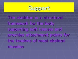 bones physiology.ppt