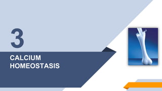 Bone physiology and calcium homeostasis | PPTX
