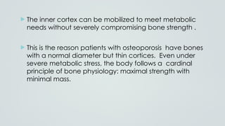 Comprehensive Overview of Bone Physiology and Metabolism in ...