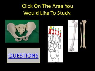 Click On The Area You
    Would Like To Study.




QUESTIONS
 