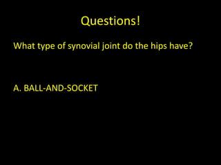 Questions!
What type of synovial joint do the hips have?



A. BALL-AND-SOCKET
 