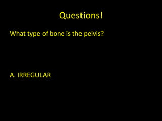 Questions!
What type of bone is the pelvis?




A. IRREGULAR
 