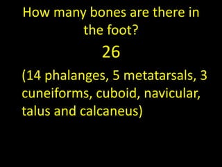 How many bones are there in
        the foot?
             26
(14 phalanges, 5 metatarsals, 3
cuneiforms, cuboid, navicular,
talus and calcaneus)
 
