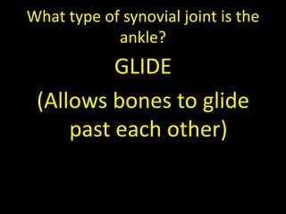 What type of synovial joint is the
            ankle?
          GLIDE
 (Allows bones to glide
     past each other)
 