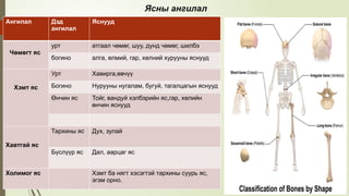 Bone scintigraphy and its usage, diagnostic criteria, contrast agent ...
