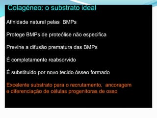 Colagéneo: o substrato idealAfinidade natural pelas  BMPsProtege BMPs de proteólisenãoespecificaPrevine a difusãoprematura das BMPsÉ completamentereabsorvidoÉ substituidopor novo tecidoósseoformadoExcelentesubstratopara o recrutamento,  ancorageme diferenciação de célulasprogenitoras de osso