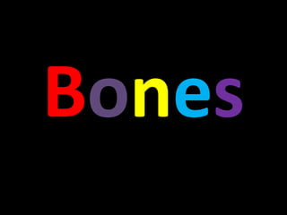 Bones
 