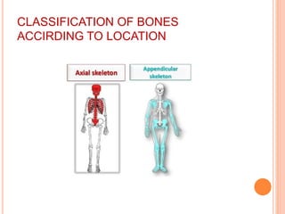 CLASSIFICATION OF BONES
ACCIRDING TO LOCATION
 