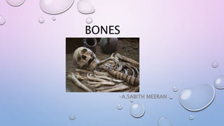 BONES
-A.SABITH MEERAN
 