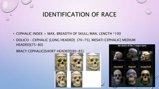 IDENTIFICATION OF RACE
• CEPHALIC INDEX = MAX. BREADTH OF SKULL/MAX. LENGTH *100
• DOLICO – CEPHALIC [LONG HEADED] {70-75}, MESATI CEPHALIC[ MEDIUM
HEADED]{75-80}
BRACY CEPHALIC[SHORT HEADED]{80-85}
 