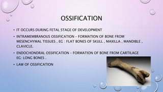 OSSIFICATION
• IT OCCURS DURING FETAL STAGE OF DEVELOPMENT
• INTRAMEMBRANOUS OSSIFICATION – FORMATION OF BONE FROM
MESENCHYMAL TISSUES , EG : FLAT BONES OF SKULL , MAXILLA , MANDIBLE ,
CLAVICLE.
• ENDOCHONDRAL OSSIFICATION – FORMATION OF BONE FROM CARTILAGE
EG: LONG BONES .
• LAW OF OSSIFICATION
 