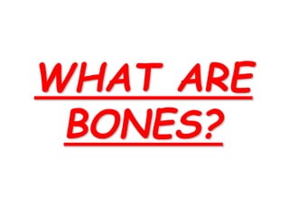 WHAT ARE
BONES?
 