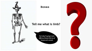Tell me what is limb?
Bones
Boo!todayI’mgoing to teach
difference betweenlimbsize of
humansand 2 animals
 