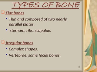 Parallel Medium Bone Comprehensive Overview of Bone Structure, Formation, and Joint Types | PPT