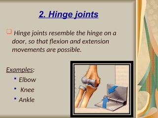 Hinge Joint Example Structures Comprehensive Overview of Bone Structure, Formation, and Joint Types | PPT