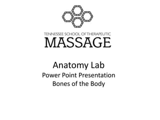 Anatomy LabPower Point PresentationBones of the Body 