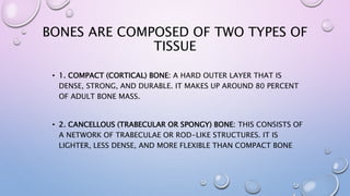 Bones and cartilages | PPTX