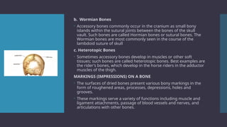 Comprehensive Overview of Human Bones and Cartilages: Structure, Types ...