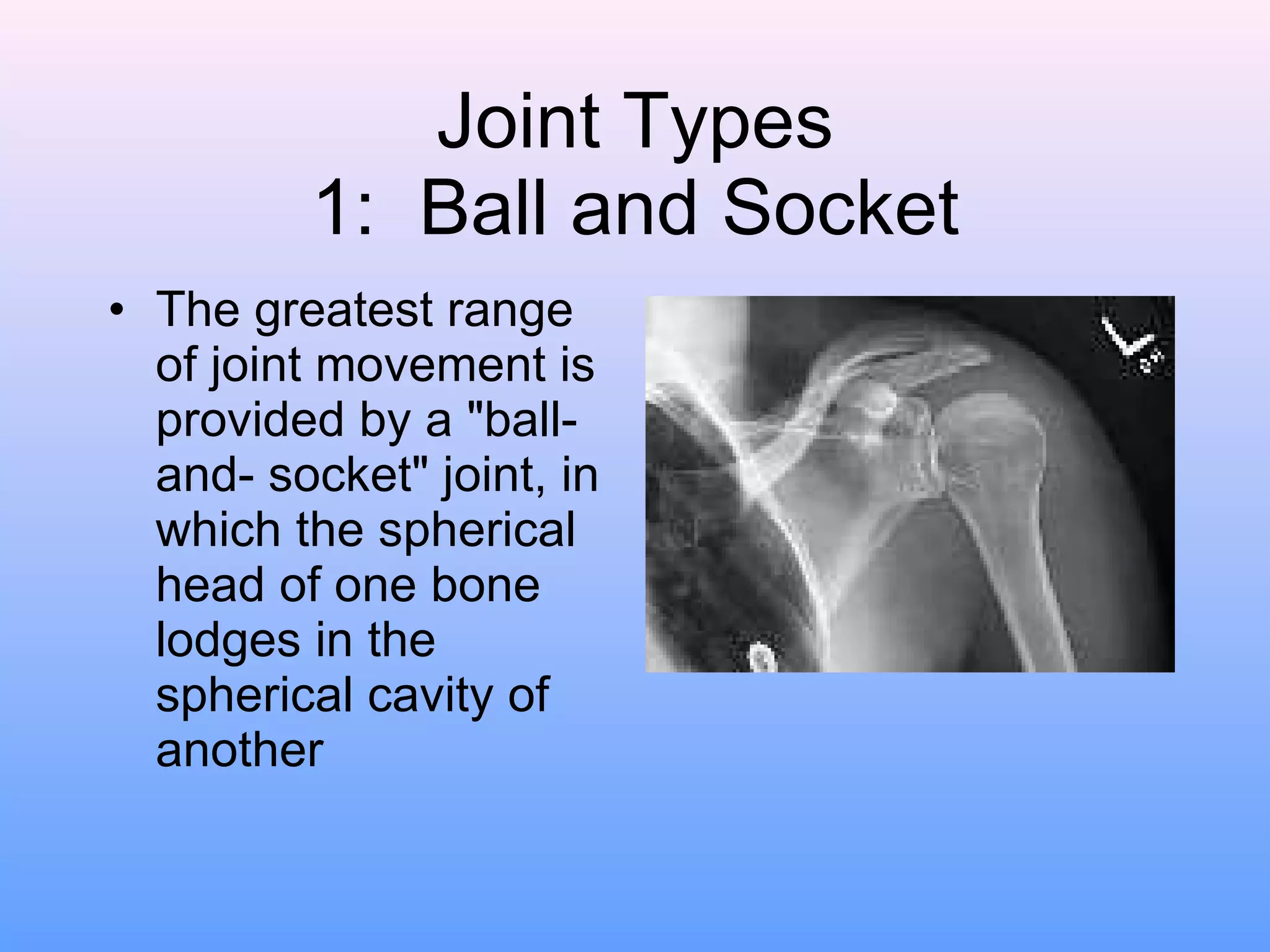 Joint Types 1:  Ball and Socket The greatest range of joint movement is provided by a "ball-and- socket" joint, in which the spherical head of one bone lodges in the spherical cavity of another                      