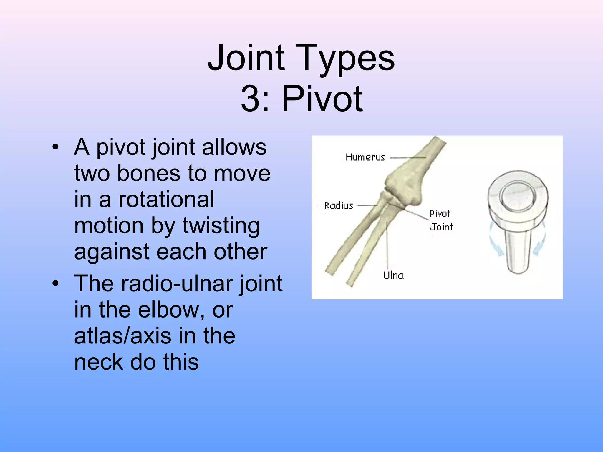Joint Types 3: Pivot A pivot joint allows two bones to move in a rotational motion by twisting against each other The radio-ulnar joint in the elbow, or atlas/axis in the neck do this 