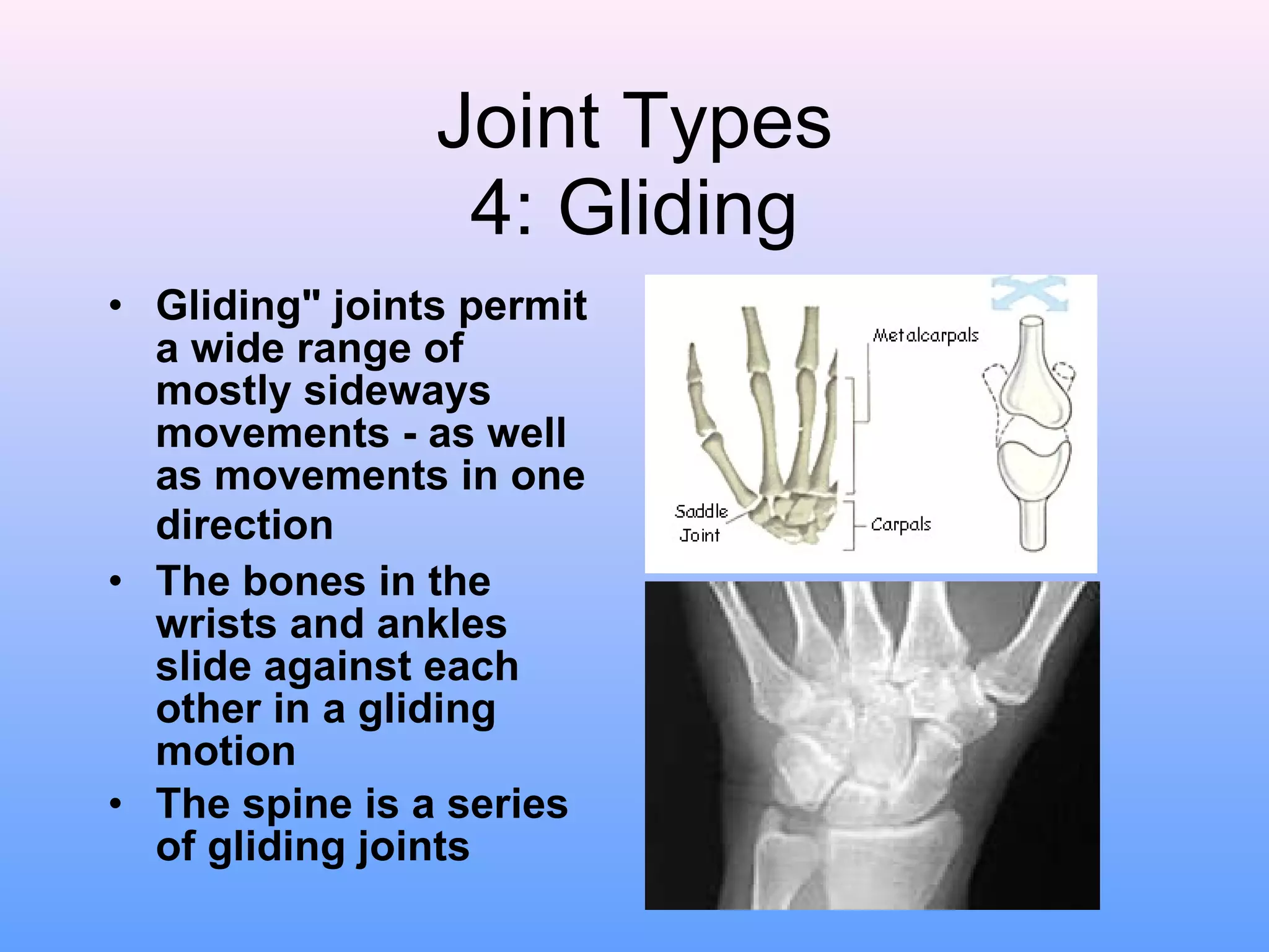 Joint Types 4: Gliding Gliding" joints permit a wide range of mostly sideways movements - as well as movements in one direction   The bones in the wrists and ankles slide against each other in a gliding motion  The spine is a series of gliding joints                       