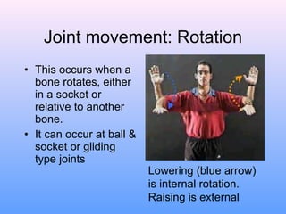 Bones and joints 1 1 | PPT