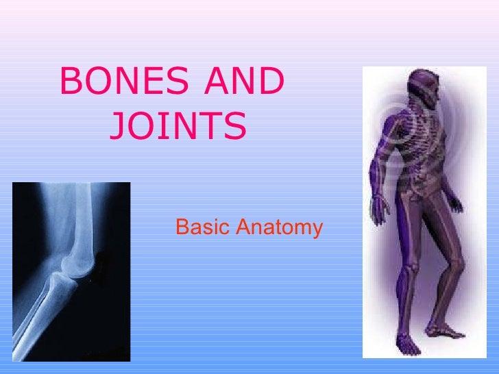 Bones and joints 1 1