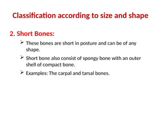 Bones and joints lecture notes 2025.pptx