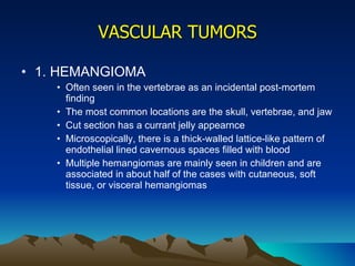 VASCULAR TUMORS 1. HEMANGIOMA Often seen in the vertebrae as an incidental post-mortem finding The most common locations are the skull, vertebrae, and jaw Cut section has a currant jelly appearnce Microscopically, there is a thick-walled lattice-like pattern of endothelial lined cavernous spaces filled with blood Multiple hemangiomas are mainly seen in children and are associated in about half of the cases with cutaneous, soft tissue, or visceral hemangiomas 