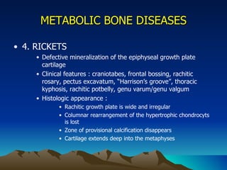 METABOLIC BONE DISEASES 4. RICKETS Defective mineralization of the epiphyseal growth plate cartilage Clinical features : craniotabes, frontal bossing, rachitic rosary, pectus excavatum, “Harrison’s groove”, thoracic kyphosis, rachitic potbelly, genu varum/genu valgum Histologic appearance :  Rachitic growth plate is wide and irregular Columnar rearrangement of the hypertrophic chondrocyts is lost Zone of provisional calcification disappears Cartilage extends deep into the metaphyses 