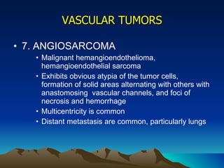 VASCULAR TUMORS 7. ANGIOSARCOMA Malignant hemangioendothelioma, hemangioendothelial sarcoma Exhibits obvious atypia of the tumor cells, formation of solid areas alternating with others with anastomosing  vascular channels, and foci of necrosis and hemorrhage Multicentricity is common Distant metastasis are common, particularly lungs 