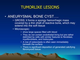 TUMORLIKE LESIONS ANEURYSMAL BONE CYST…. GROSS: it forms a spongy hemorrhagic mass covered by a thin shell of reactive bone, which may extend into the soft tissue Microscopic:  show large spaces filled with blood They do not contain endothelial lining but are rather delimited by cells with similar features to fibroblast, myofibroblasts, and histiocytes A row of osteoclasts is often seen immediately beneath the surface There is significant deposition of generated calcifying fibromyxoid tissue. 
