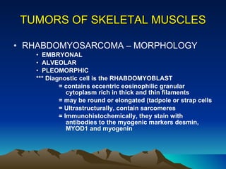 TUMORS OF SKELETAL MUSCLES RHABDOMYOSARCOMA – MORPHOLOGY EMBRYONAL  ALVEOLAR PLEOMORPHIC *** Diagnostic cell is the RHABDOMYOBLAST = contains eccentric eosinophilic granular      cytoplasm rich in thick and thin filaments  = may be round or elongated (tadpole or strap cells = Ultrastructurally, contain sarcomeres  = Immunohistochemically, they stain with      antibodies to the myogenic markers desmin,    MYOD1 and myogenin 